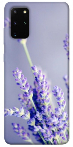 Чохол itsPrint Лаванда для Samsung Galaxy S20+
