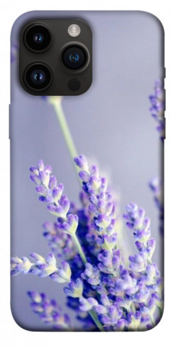 Чехол itsPrint Лаванда для Apple iPhone 14 Pro Max (6.7")