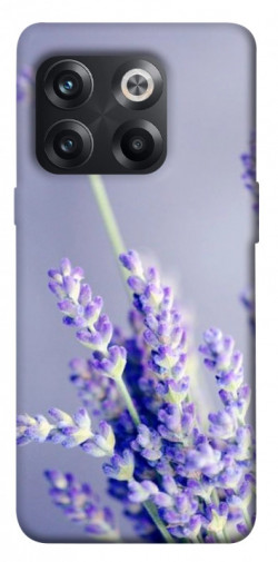 Чехол itsPrint Лаванда для OnePlus 10T