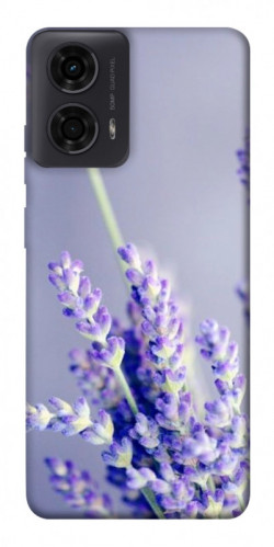 Чехол itsPrint Лаванда для Motorola Moto G24