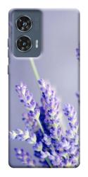 Чехол itsPrint Лаванда для Motorola Edge 50 Fusion