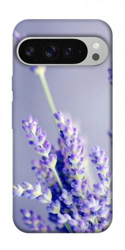 Чехол itsPrint Лаванда для Google Pixel 9 Pro XL