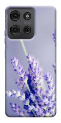 Чехол itsPrint Лаванда для Motorola Moto G75 5G