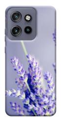 Чехол itsPrint Лаванда для Motorola Edge 50 Neo