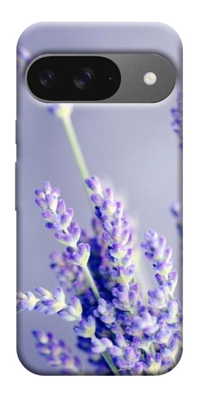 Чехол itsPrint Лаванда для Google Pixel 10, цветы, купить оптом с доставкой