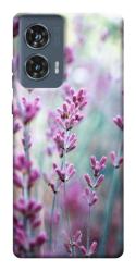 Чехол itsPrint Лаванда 2 для Motorola Edge 50 Fusion
