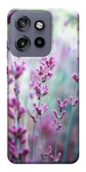 Чехол itsPrint Лаванда 2 для Motorola Edge 50 Neo
