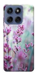Чехол itsPrint Лаванда 2 для Motorola Edge 60 Fusion