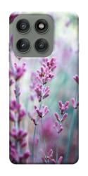 Чехол itsPrint Лаванда 2 для Motorola Edge 60 Pro