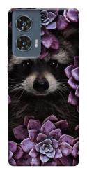 Чехол itsPrint Енот в цветах для Motorola Edge 50 Fusion