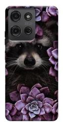 Чехол itsPrint Енот в цветах для Motorola Moto G75 5G
