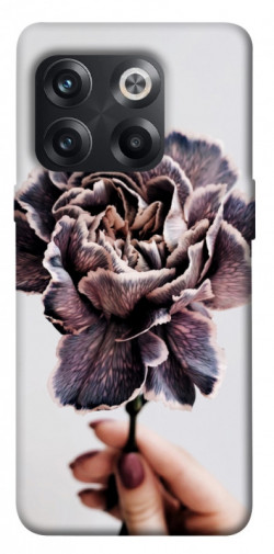 Чехол itsPrint Гвоздика для OnePlus 10T