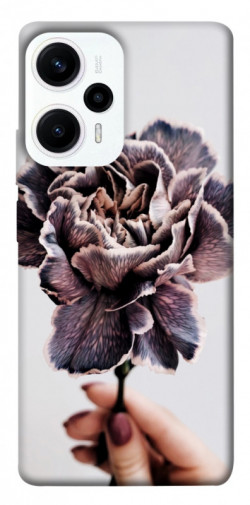 Чохол itsPrint Гвоздика для Xiaomi Poco F5 Pro