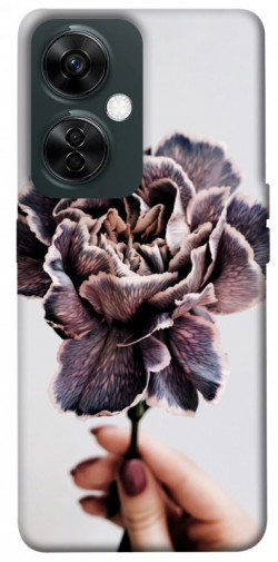 Чехол itsPrint Гвоздика для OnePlus Nord CE 3 Lite