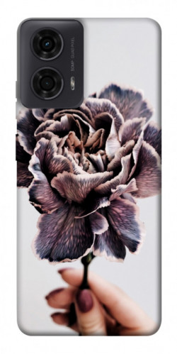 Чехол itsPrint Гвоздика для Motorola Moto G24