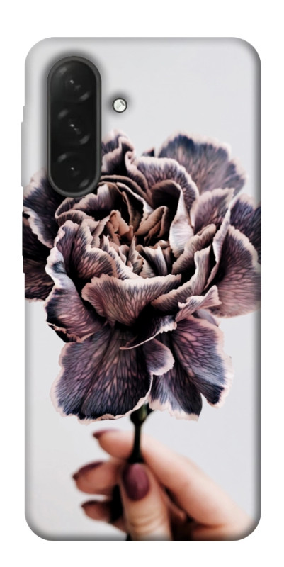 Чохол itsPrint Гвоздика для Samsung Galaxy A26 5G, квіти, купити оптом з доставкою
