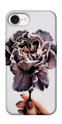 Чехол itsPrint Гвоздика для Apple iPhone 16e (6.1")