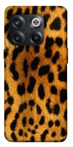 Чехол itsPrint Леопардовый принт для OnePlus 10T