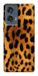 Чехол itsPrint Леопардовый принт для Motorola Edge 50 Fusion