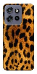 Чехол itsPrint Леопардовый принт для Motorola Edge 50 Neo