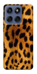 Чехол itsPrint Леопардовый принт для Motorola Edge 60 Fusion