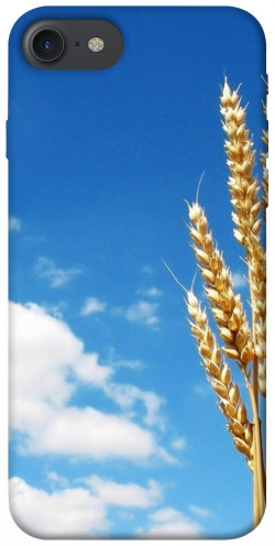 Чехол itsPrint Пшеница для Apple iPhone 7 / 8 (4.7")