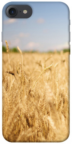 Чехол itsPrint Поле пшеницы для Apple iPhone 7 / 8 (4.7")