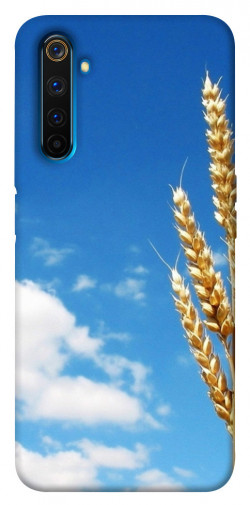 Чехол itsPrint Пшеница для Realme 6 Pro