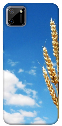 Чохол itsPrint Пшениця для Realme C11