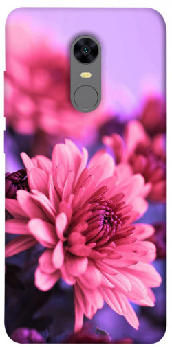 Чохол itsPrint Ніжна хризантема для Xiaomi Redmi 5 Plus / Redmi Note 5 (Single Camera)