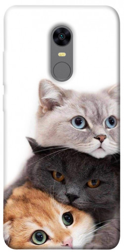 Чохол itsPrint Три коти для Xiaomi Redmi 5 Plus / Redmi Note 5 (Single Camera)