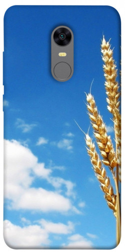 Чехол itsPrint Пшеница для Xiaomi Redmi 5 Plus / Redmi Note 5 (Single Camera)