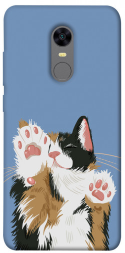 Чехол itsPrint Funny cat для Xiaomi Redmi 5 Plus / Redmi Note 5 (Single Camera)