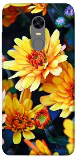 Чохол itsPrint Yellow petals для Xiaomi Redmi 5 Plus / Redmi Note 5 (Single Camera)