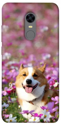 Чохол itsPrint Коргі в квітах для Xiaomi Redmi 5 Plus / Redmi Note 5 (Single Camera)