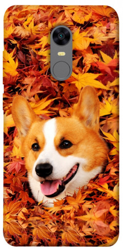 Чехол itsPrint Корги в листьях для Xiaomi Redmi 5 Plus / Redmi Note 5 (Single Camera)
