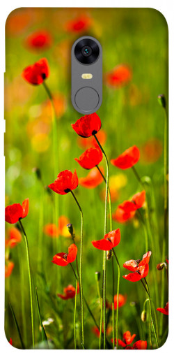 Чехол itsPrint Маковое поле для Xiaomi Redmi 5 Plus / Redmi Note 5 (Single Camera)