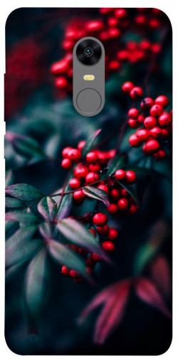 Чохол itsPrint Red berry для Xiaomi Redmi 5 Plus / Redmi Note 5 (Single Camera)