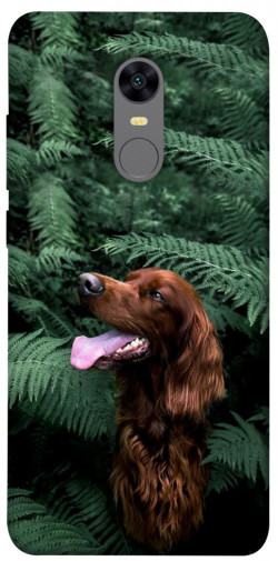 Чохол itsPrint Собака у зелені для Xiaomi Redmi 5 Plus / Redmi Note 5 (Single Camera)