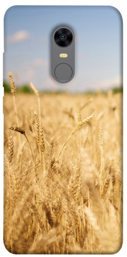 Чехол itsPrint Поле пшеницы для Xiaomi Redmi 5 Plus / Redmi Note 5 (Single Camera)