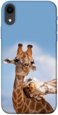 Чехол itsPrint Милые жирафы для Apple iPhone XR (6.1")