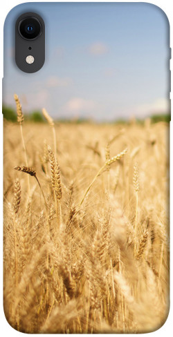 Чехол itsPrint Поле пшеницы для Apple iPhone XR (6.1")