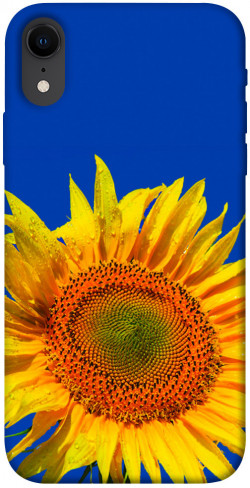 Чехол itsPrint Sunflower для Apple iPhone XR (6.1")