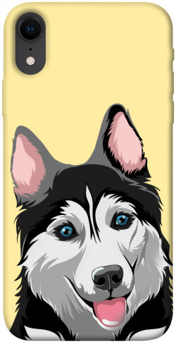 Чехол itsPrint Husky dog для Apple iPhone XR (6.1")