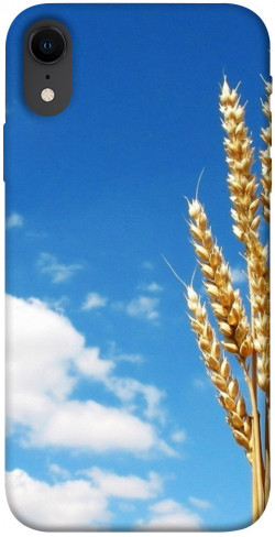 Чехол itsPrint Пшеница для Apple iPhone XR (6.1")