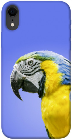 Чехол itsPrint Попугай ара для Apple iPhone XR (6.1")