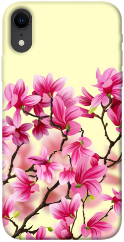 Чехол itsPrint Цветы сакуры для Apple iPhone XR (6.1")