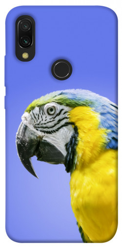 Чехол itsPrint Попугай ара для Xiaomi Redmi 7
