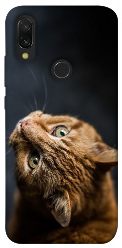 Чохол itsPrint Рудий кіт для Xiaomi Redmi 7