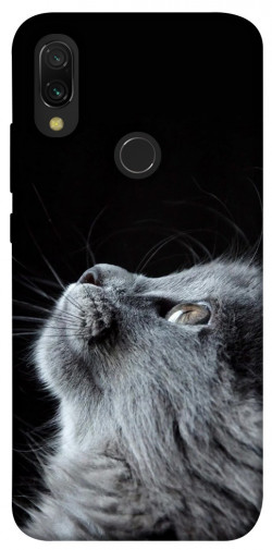 Чохол itsPrint Cute cat для Xiaomi Redmi 7